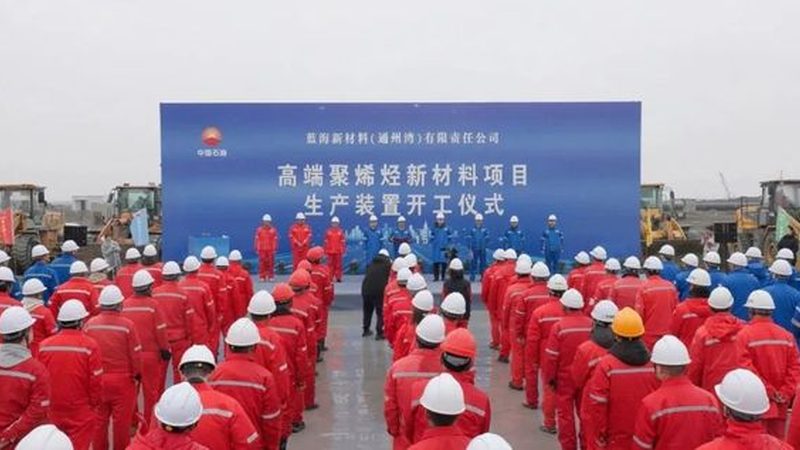 大连化工原料定制加工：揭秘定制化解决方案的奥秘**